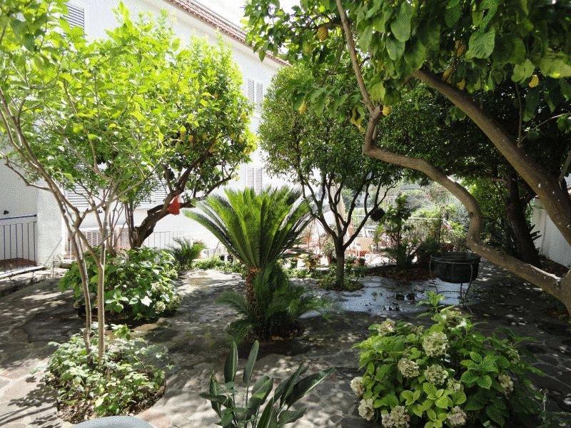 Hotel Candia Casamicciola Terme Екстер'єр фото
